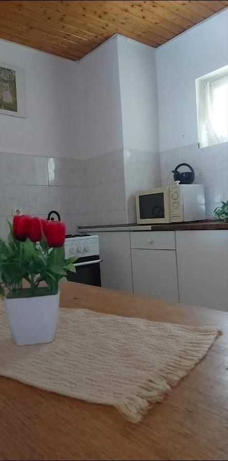 Hotel Badacsonyi Pihenes Privat Berlemeny Badacsonytomaj Esterno foto